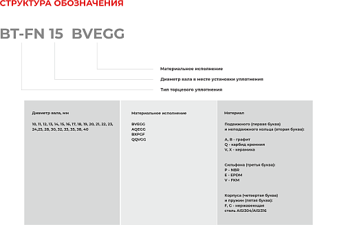 Торцевое уплотнение BT-FN 40 QQVGG в Самаре фото
